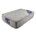 Sentosa Mettress Spine Memory